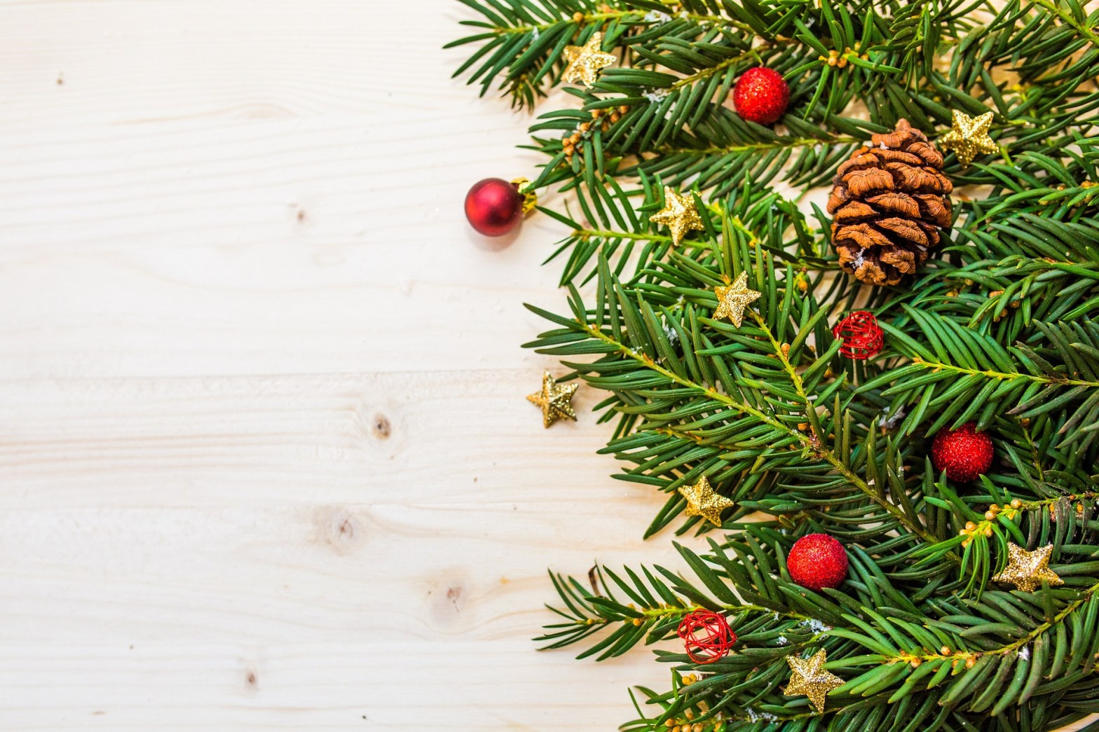 Las 5 mejores plantas y flores&nbsp;navideñas